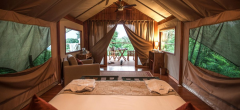 Galapagos Safari Camp - Luxury Tent