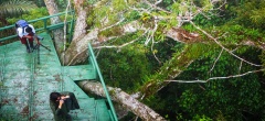 Napo Cultural Center - Treetop observation deck