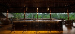 Sacha Lodge - Bar