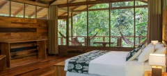 Sacha Lodge - Bedroom