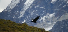 Torres del Paine