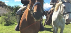 Riding in the Torres del Paine