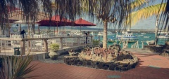 Angermeyer Waterfront Inn - Restaurant