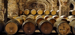 Casa Real: Wine cellar
