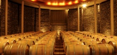 La Casona at Matetic - Wine cellar
