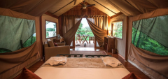 Galapagos Safari Camp - Luxury Tent