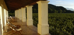 Vinas de Cafayate Wine Resort - Vineyard view