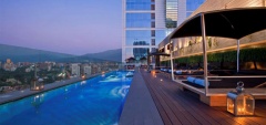 The W - Rooftop pool