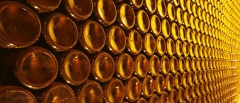 Mendoza and the Wine region - wine bottles