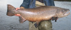 Tierra del Fuego - Fishing