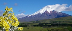 Volcan Cotopaxi