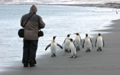 Close encounters with penguins
