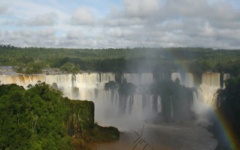 A wildlife bonanza - Iguazu Falls
