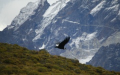 Torres del Paine