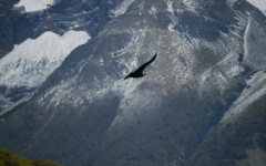 Torres del Paine